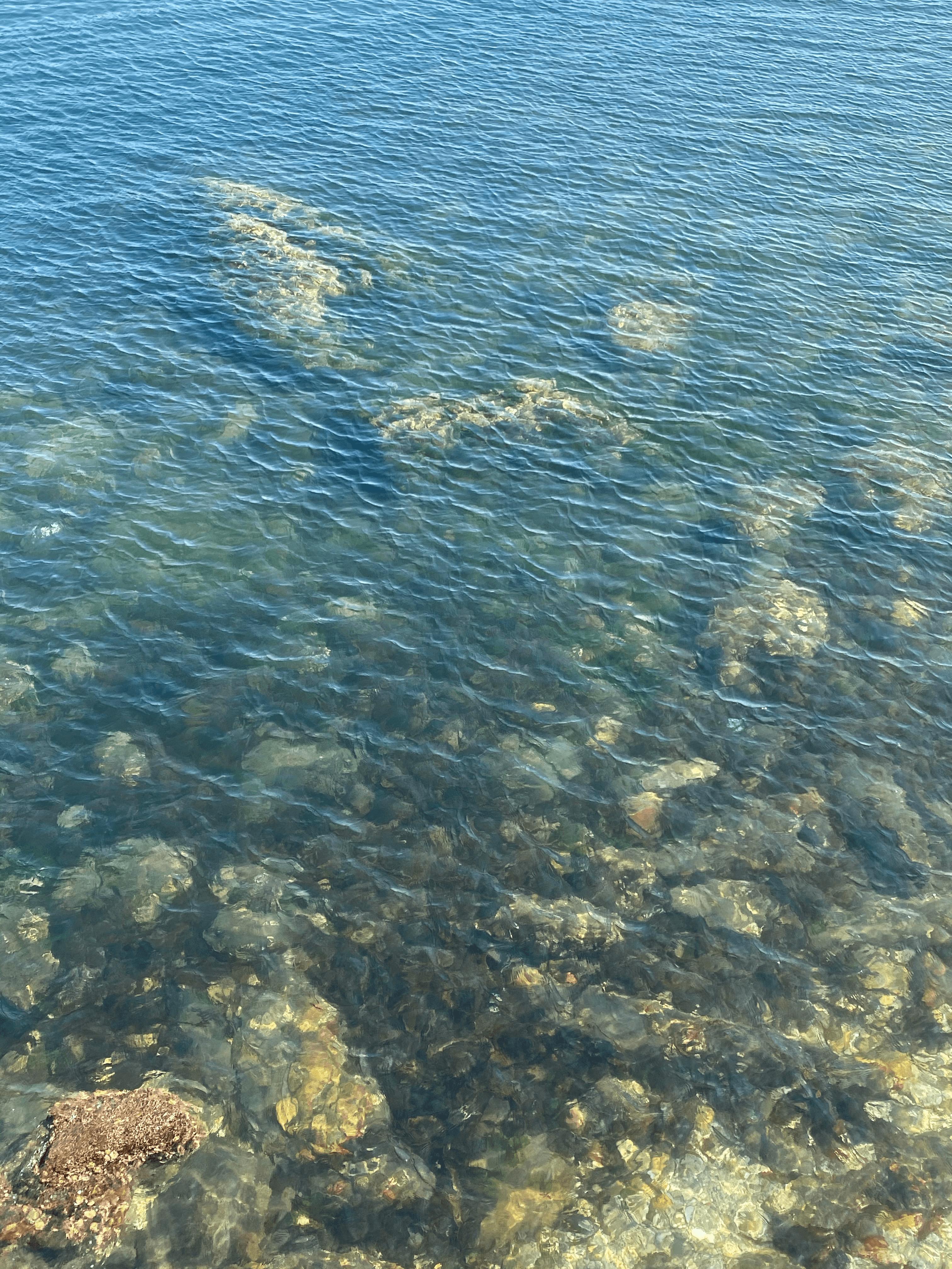 长海县环岛骑行,大连长海县骑行