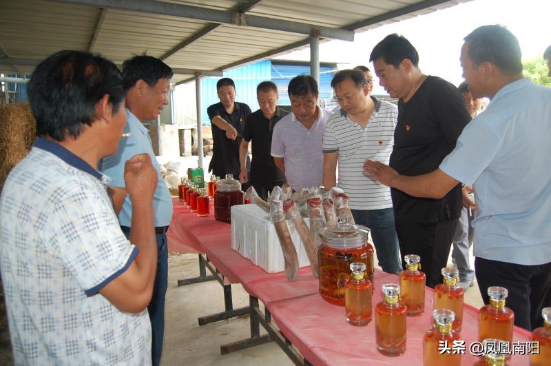 丁长伟梅花鹿养殖,邓州市丁长伟梅花鹿养殖有限公司