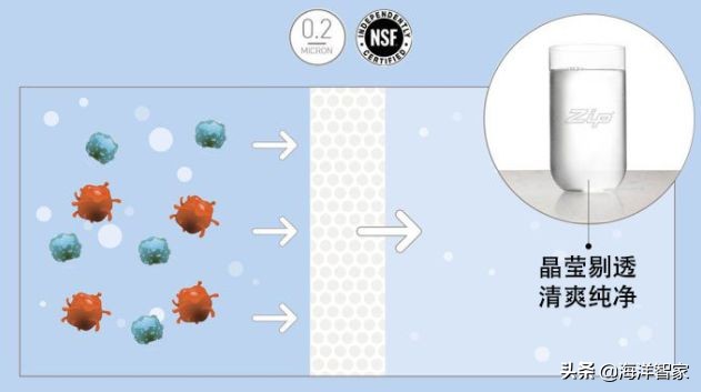 google上海有限公司,google美国总部办公室