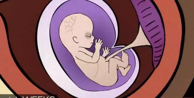 丁嘉丽明星的故事,丁嘉丽央视