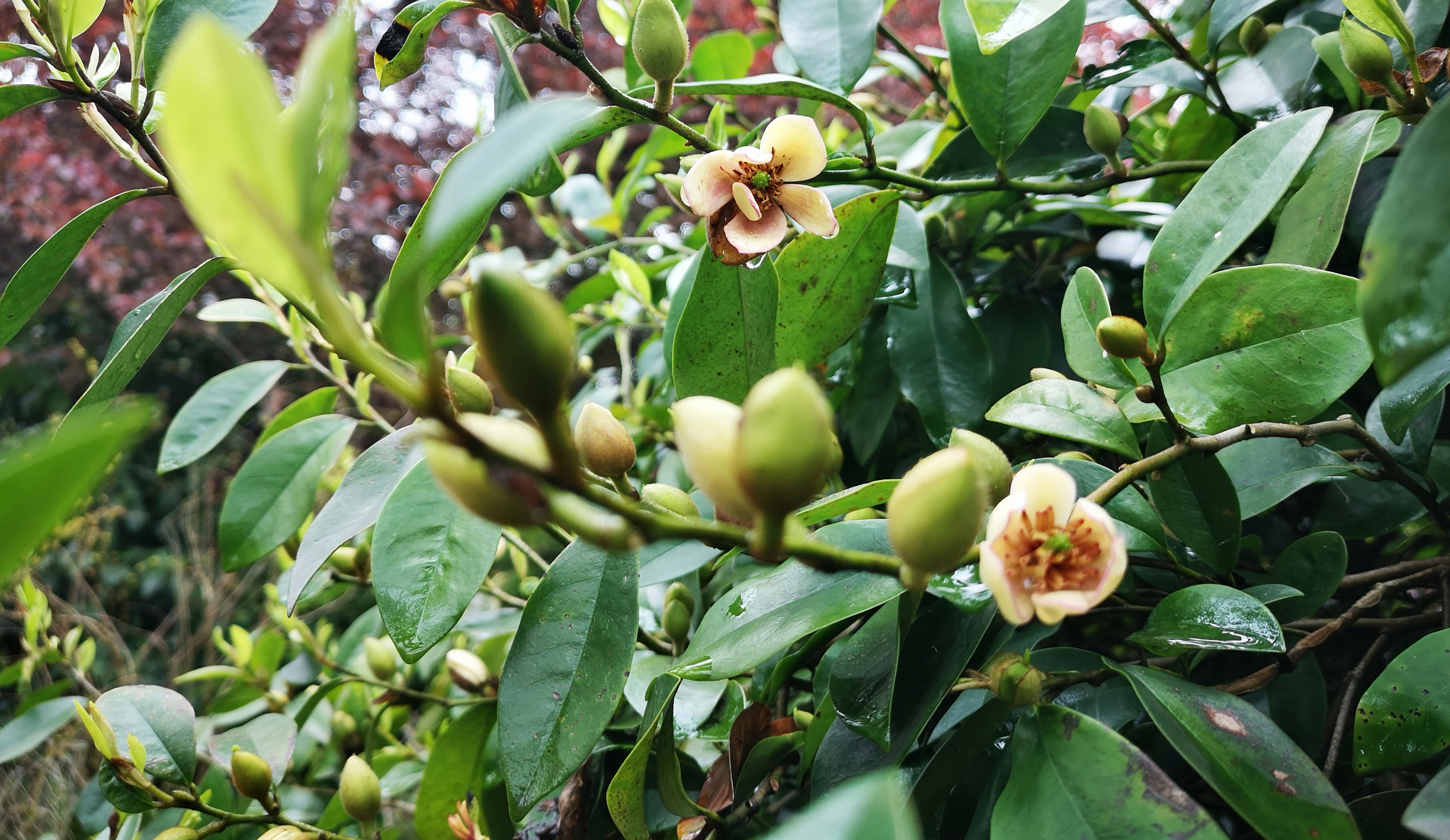 寻找身边的美丽身影,寻找身边美丽景色