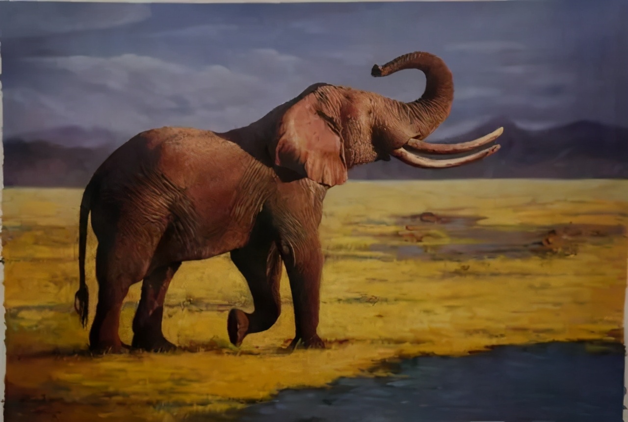 遇到很多挫折怎么调整心态,遇到挫折总是想逃避怎么办