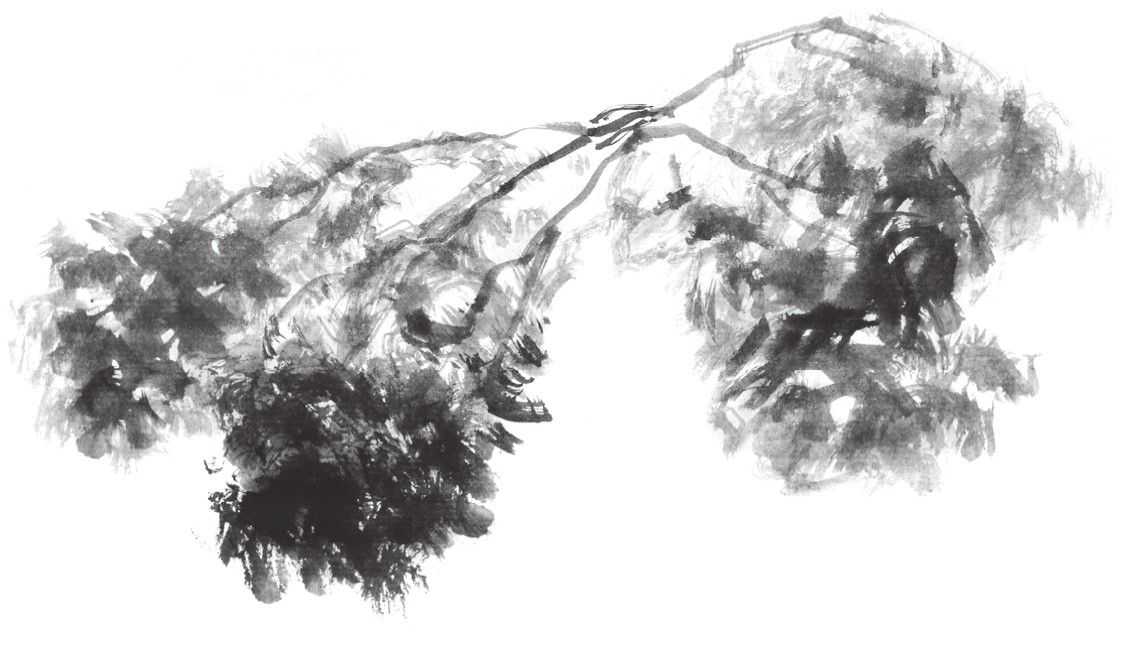 国画刘存惠荷花画法全视频,国画山水画教学视频荷花画法