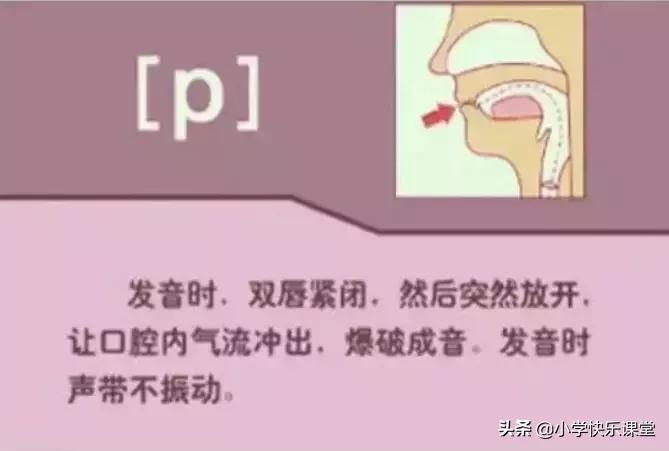 48个国际音标的发音口型视频图,英语48个音标发音口型视频