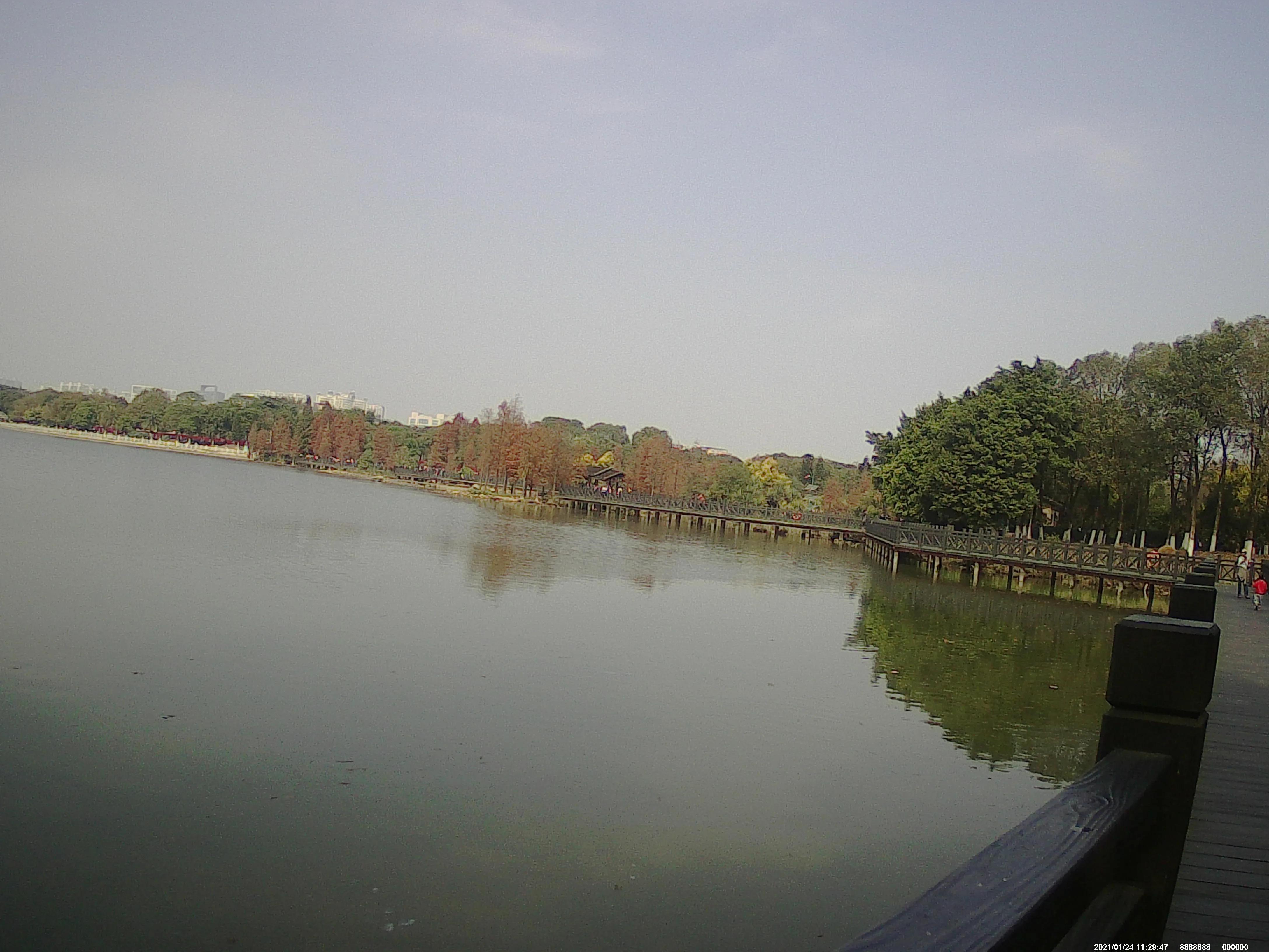 广州海珠湖,海珠湖变化