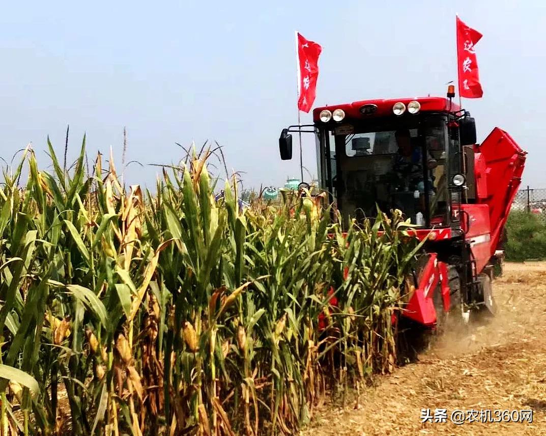 东方红新款玉米机,东方红玉米收获机21款