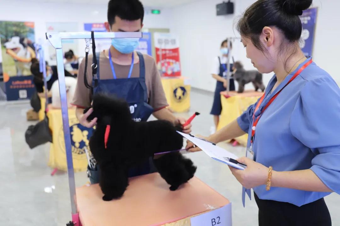 成绩公布！“品谱杯”GPGA第14届宠物美容师资格鉴定考试