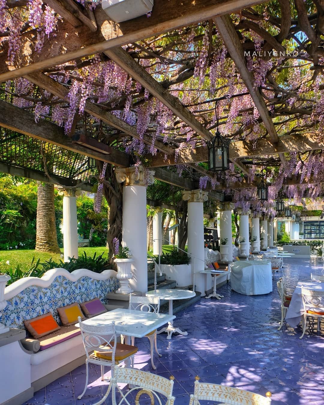 庭院植物设计搭配方法,庭院设计花草搭配