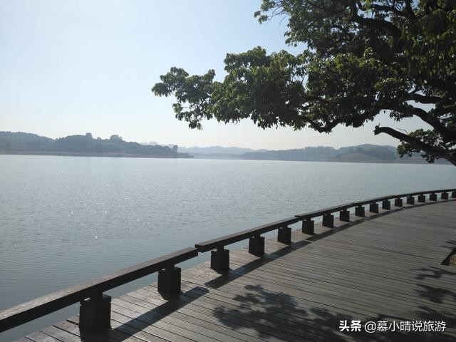 广州这个湖，有片内蒙古“怪树林”，景色如水墨画，让你亲近自然