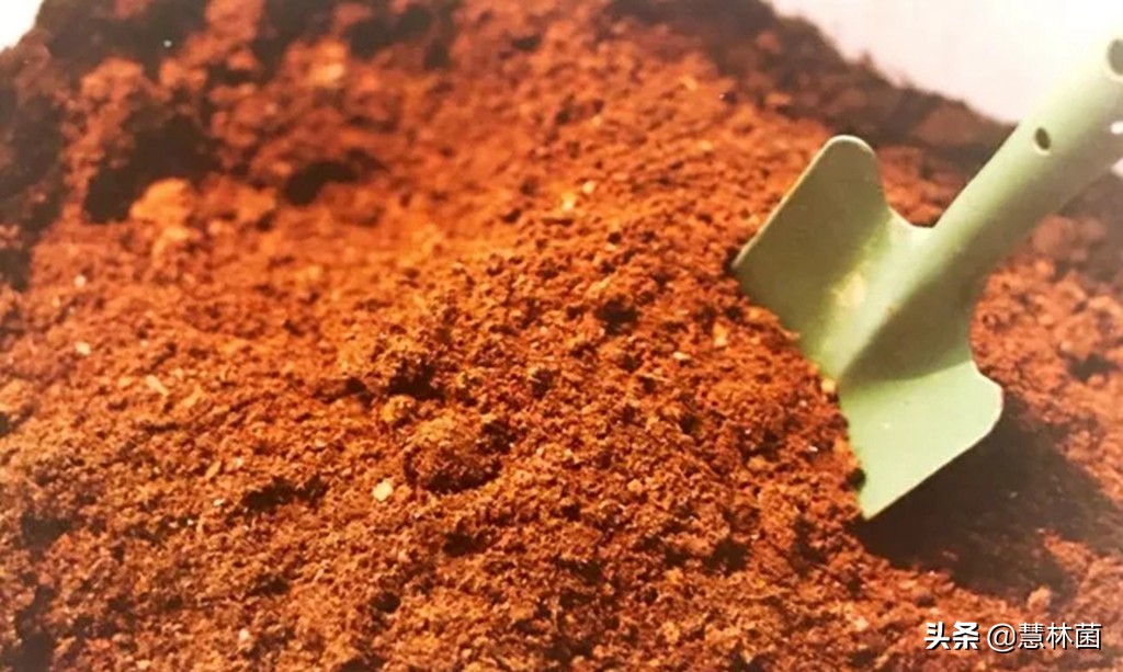 不同的多肉配不同的土，多肉配土秘籍大全