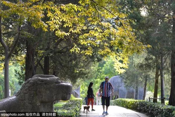 北京元旦特价机票,北京特价来回机票199