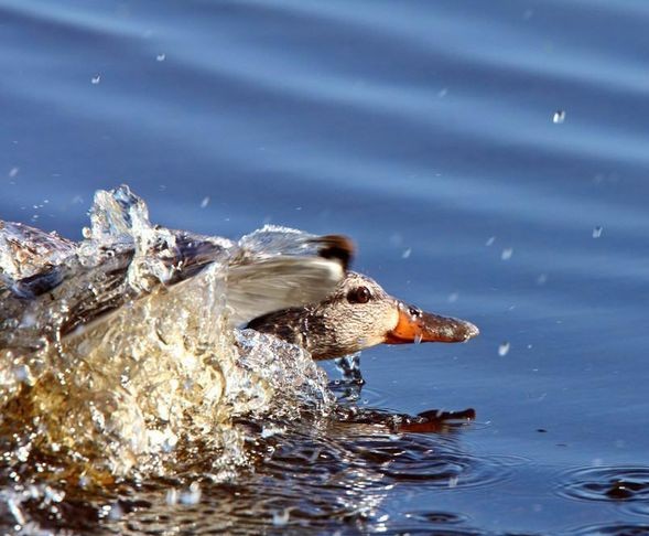 衰老的皮肤从缺水开始,干涸的水塘