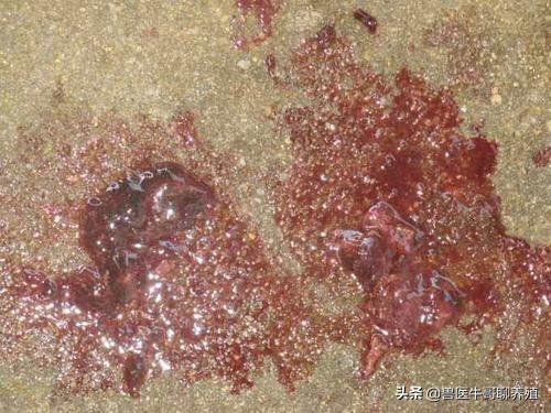 庆大霉素治疗仔猪拉稀用量是多少,断奶仔猪拉稀呕吐怎么治疗