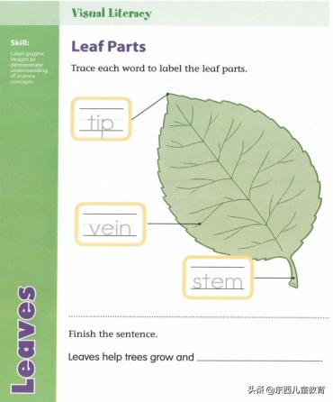 免费美国数学练习册,美国数学练习册免费下载