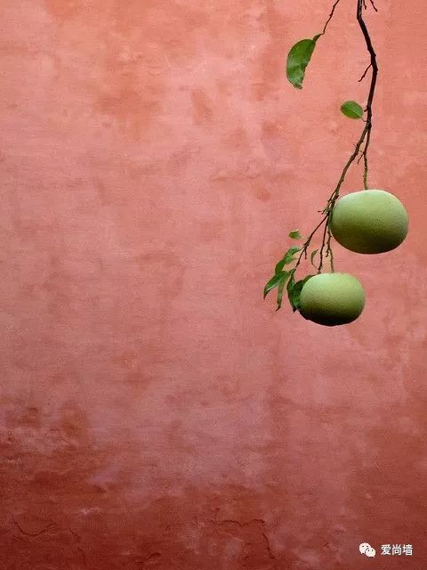 德国鲸彩艺术漆色号推荐,鲸彩漆颜色推荐