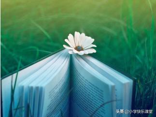 一年级孩子不会组词怎么办,一年级关联词造句100个