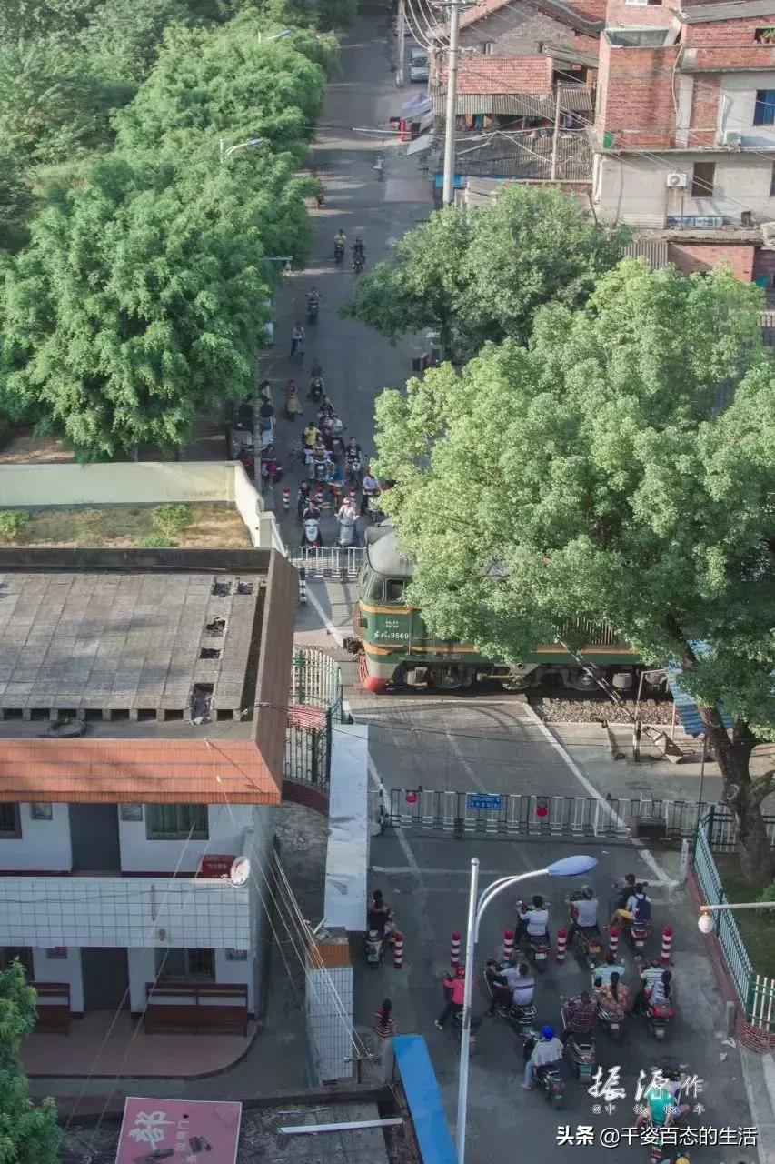 广西低调小城竟然藏了个小奈良,广西有座低调的养老小城