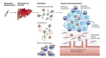 肝癌有没有以毒攻毒的功效,以毒攻毒治疗癌症