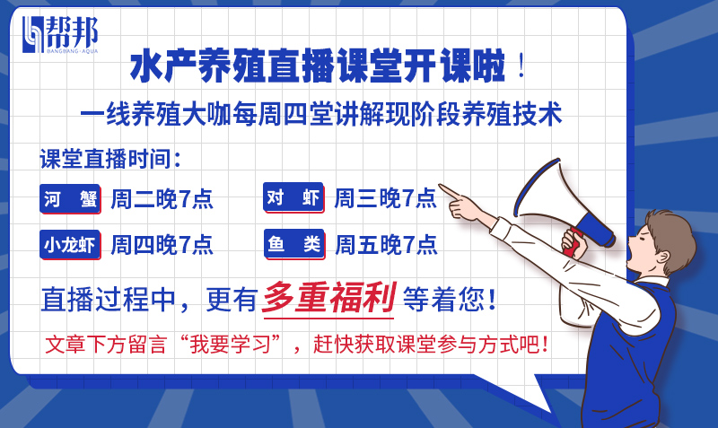 爱用二氧化氯清塘的养殖户朋友一定要收藏,这几点你未必注意过