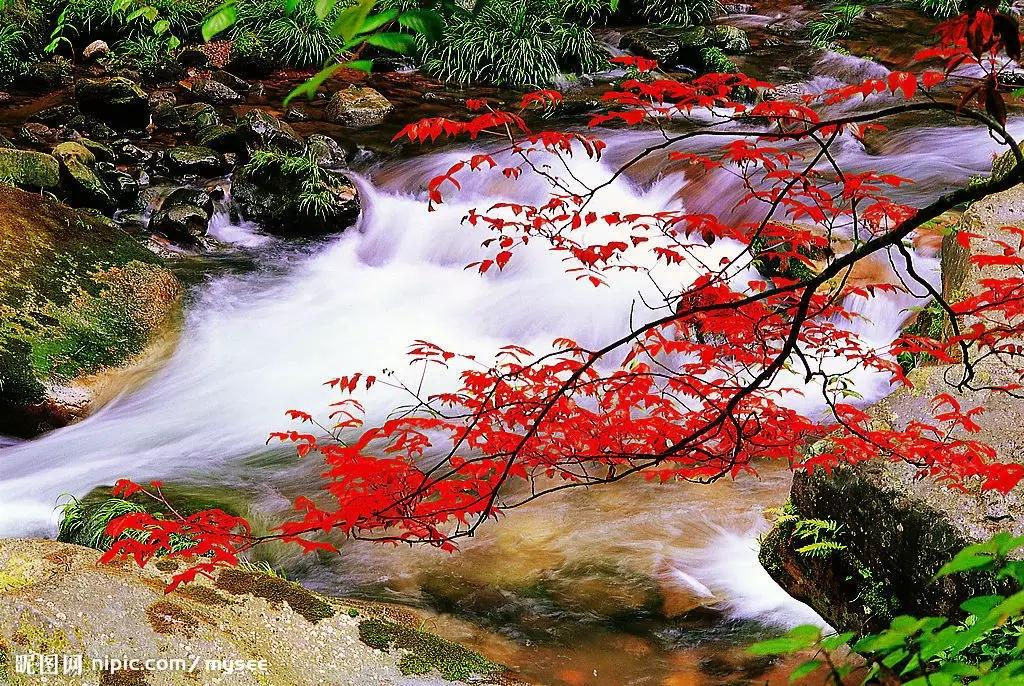 中国最美小溪排名,中国十大绝美小溪