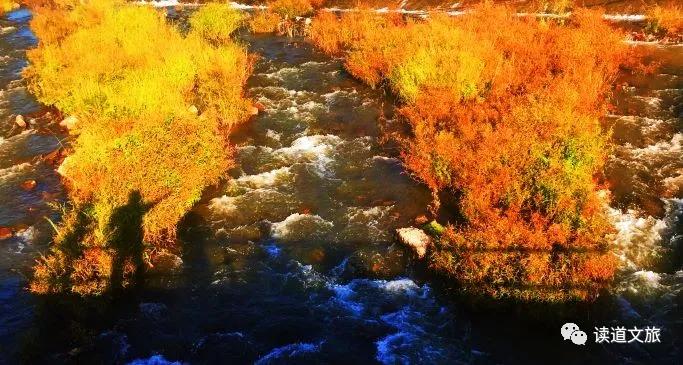 草莓小镇冬季去哪玩,草莓小镇中国园