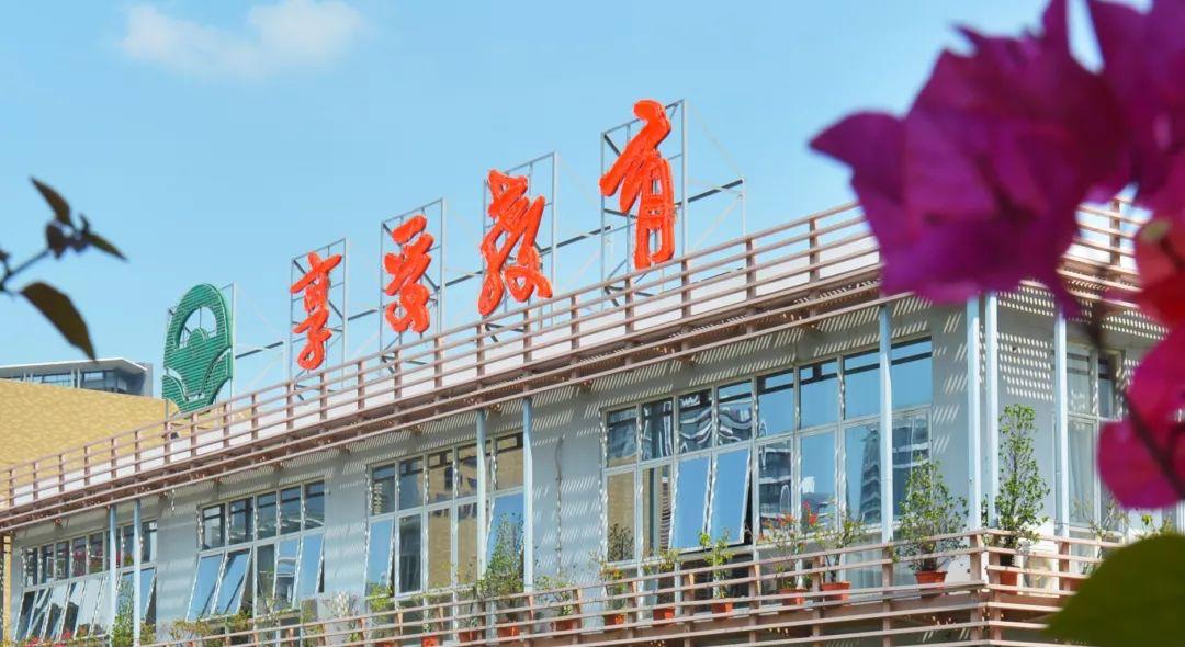 侨中2022届高考喜报,侨中2023年高考喜报