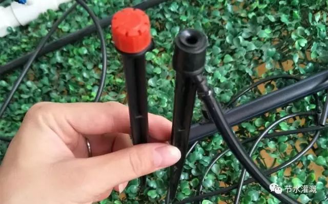 地插微喷头的优缺点,地插式微喷安装