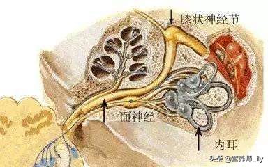患上带状疱疹做好4件事能少受罪,得了带状疱疹需注意的事项