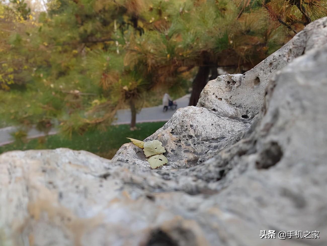 xperiapro-i拍摄体验视频,索尼微单手机xperiapro-i最新