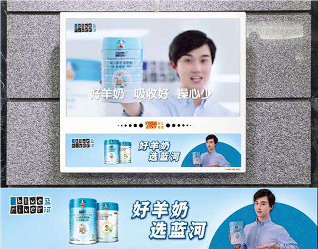 蓝河绵羊奶能喝吗,蓝河绵羊奶是小分子奶粉吗