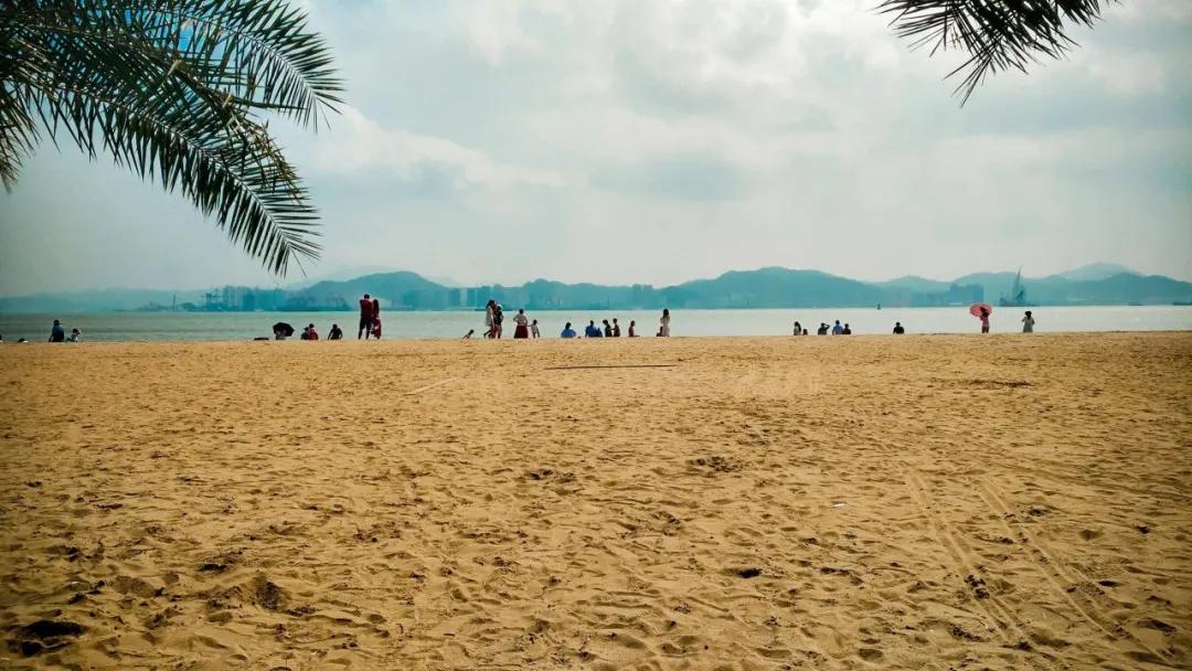 直奔厦门,厦门夏日旅行攻略