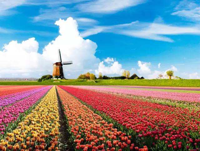 荷兰是世界强国吗,荷兰最难入侵吗