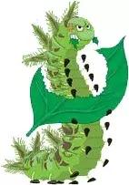 自贡有哪些稀有动物,自贡有哪些小动物