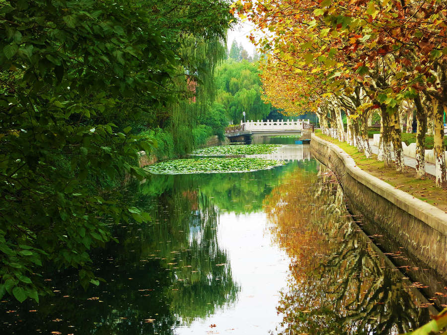 华东师范大学70周年生日快乐,华东师范大学教育学专业就业前景