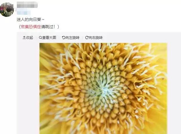 是不是大部分人都有密集恐惧症,密集恐惧症并不可怕