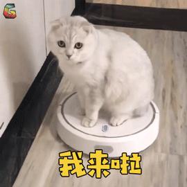 筷子腿或漫画腿怎么练,筷子腿漫画腿速成