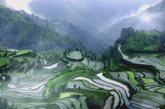 浙江旅游必去十大美食,浙江周边三天两夜美食旅游推荐