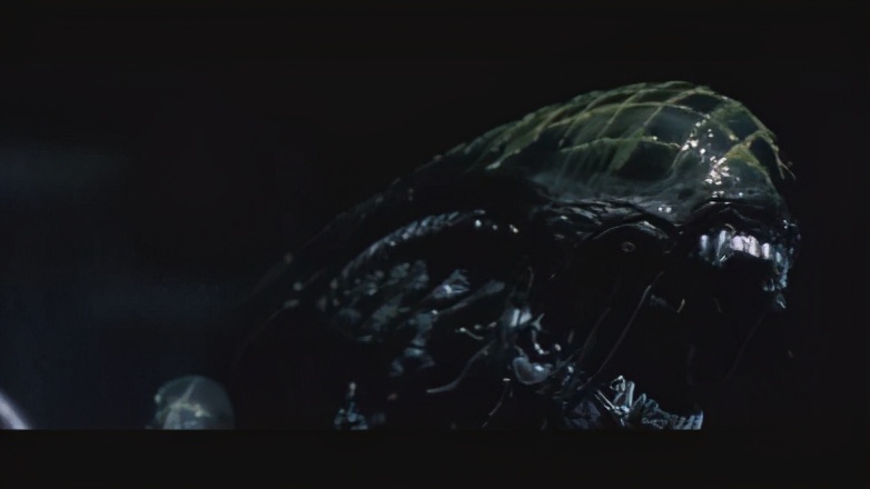 寮傚舰vs閾佽鎴樺＋娣卞害瑙ｈ,涔愰珮閾佽鎴樺＋vs寮傚舰