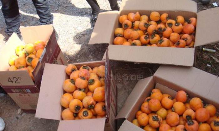 自制酿酒设备做出来的酒好不好喝,白酒制作养生酒