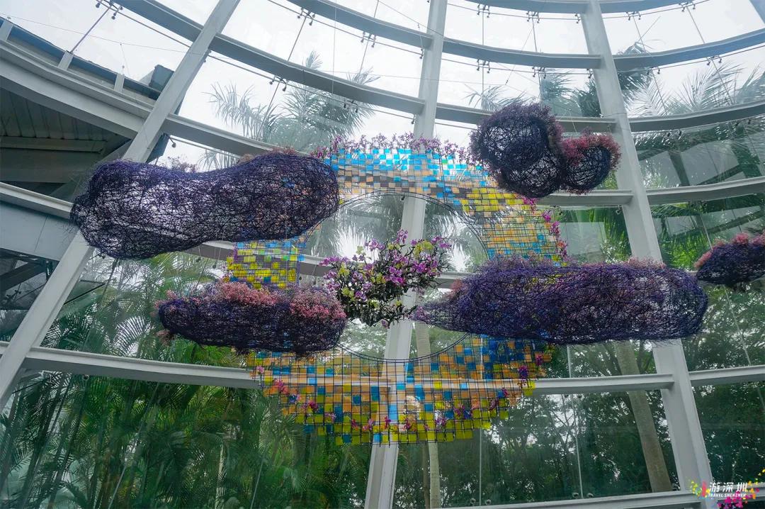 深圳花展2019年12月时间表,深圳第一场春天花展