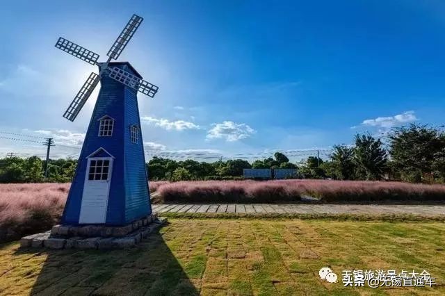 无锡哪里有看花海的景点,无锡秋季花海旅游景点