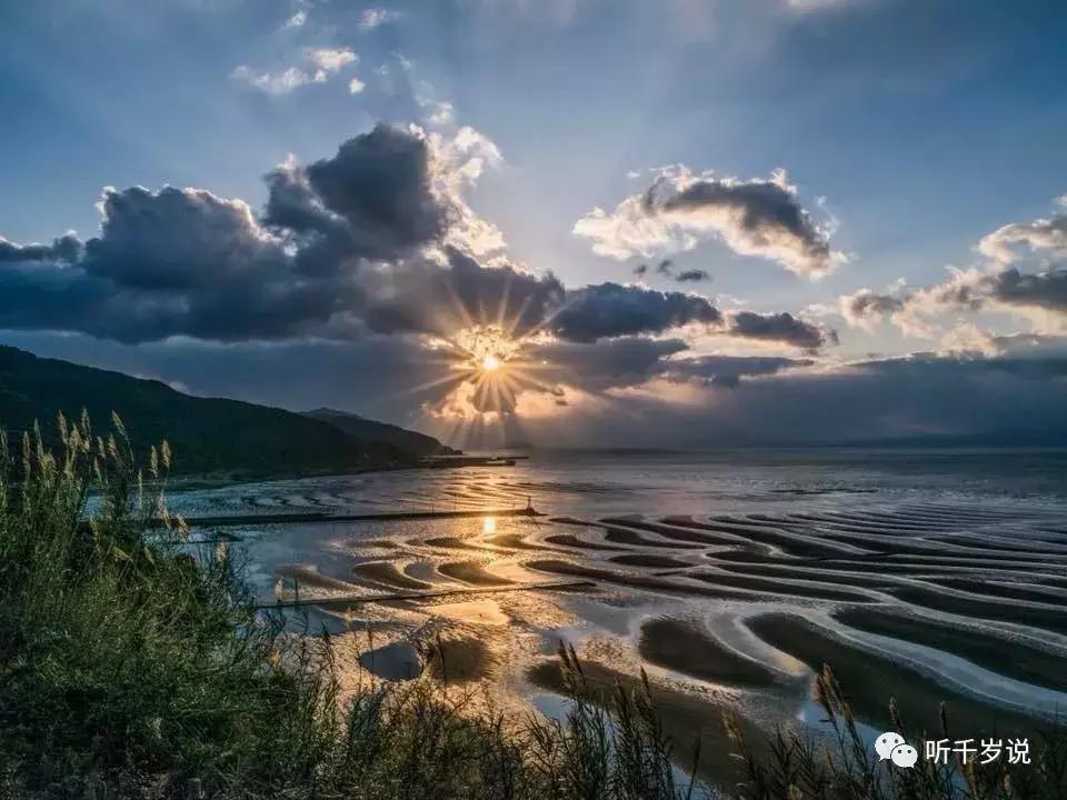 日本东京熊本熊,日本熊本游