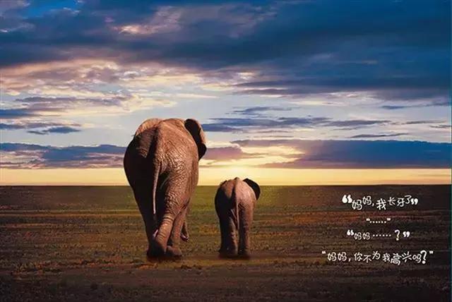 这几种纪念品千万不要买,十大禁止带回家的纪念品