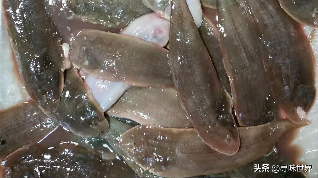 买鱼食内行人专买这十种纯海鱼,内行人就买这5种鱼