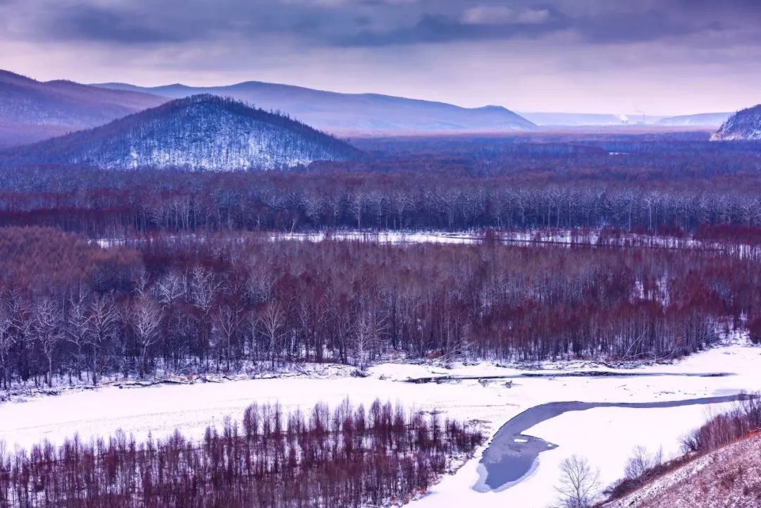 下雪了看看诗词中的雪之美,适合下雪的绝美诗句
