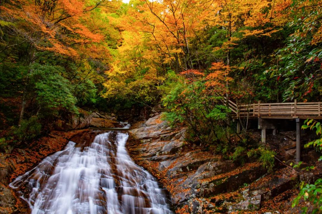 9月国内最美的10个最佳旅行地推荐,金秋十月寻找最美旅行地