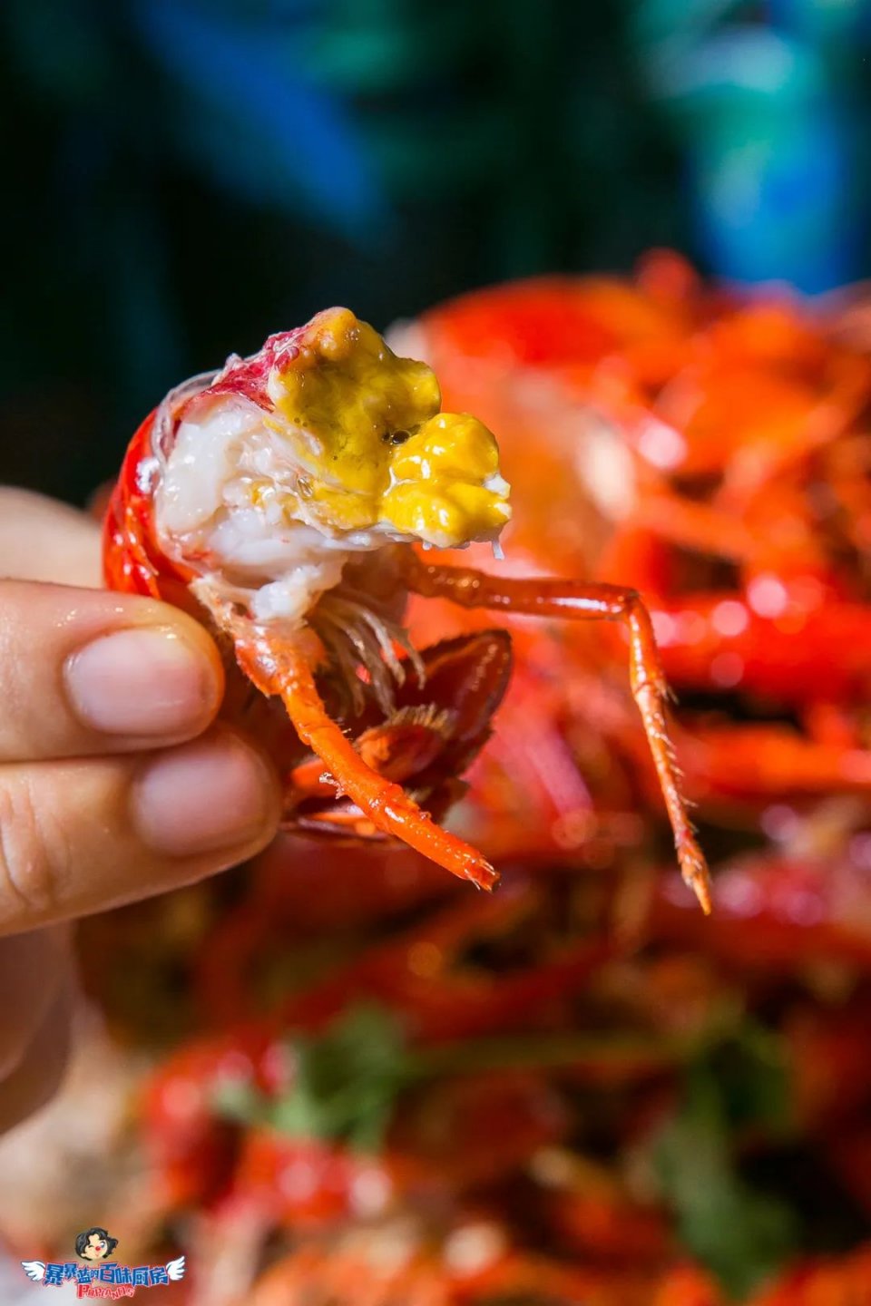 不容错过的小龙虾,不能错过的小龙虾