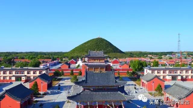 阿古拉湿地草原视频,阿古拉湿地有什么鸟