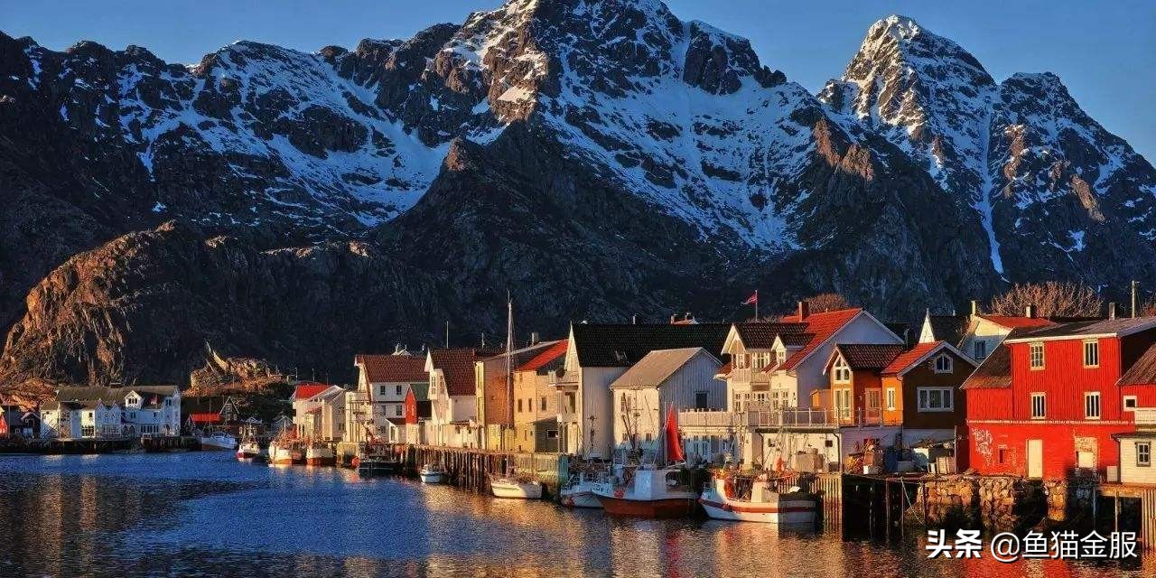 楸肩尗閲戞湇,楸肩尗閲戞湇鎬庝箞鏍风殑