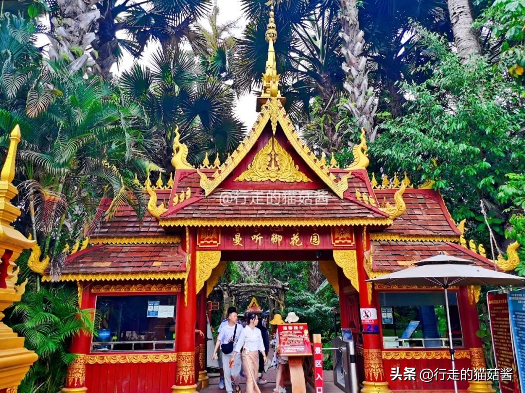 三刷西双版纳留给我的12个印象，聊聊这个宜居的边境小城